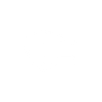 100% SECURE PAYMENT